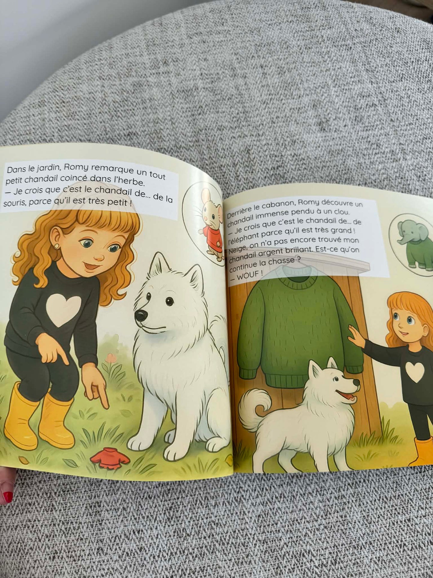 Romy et la chasse au chandail