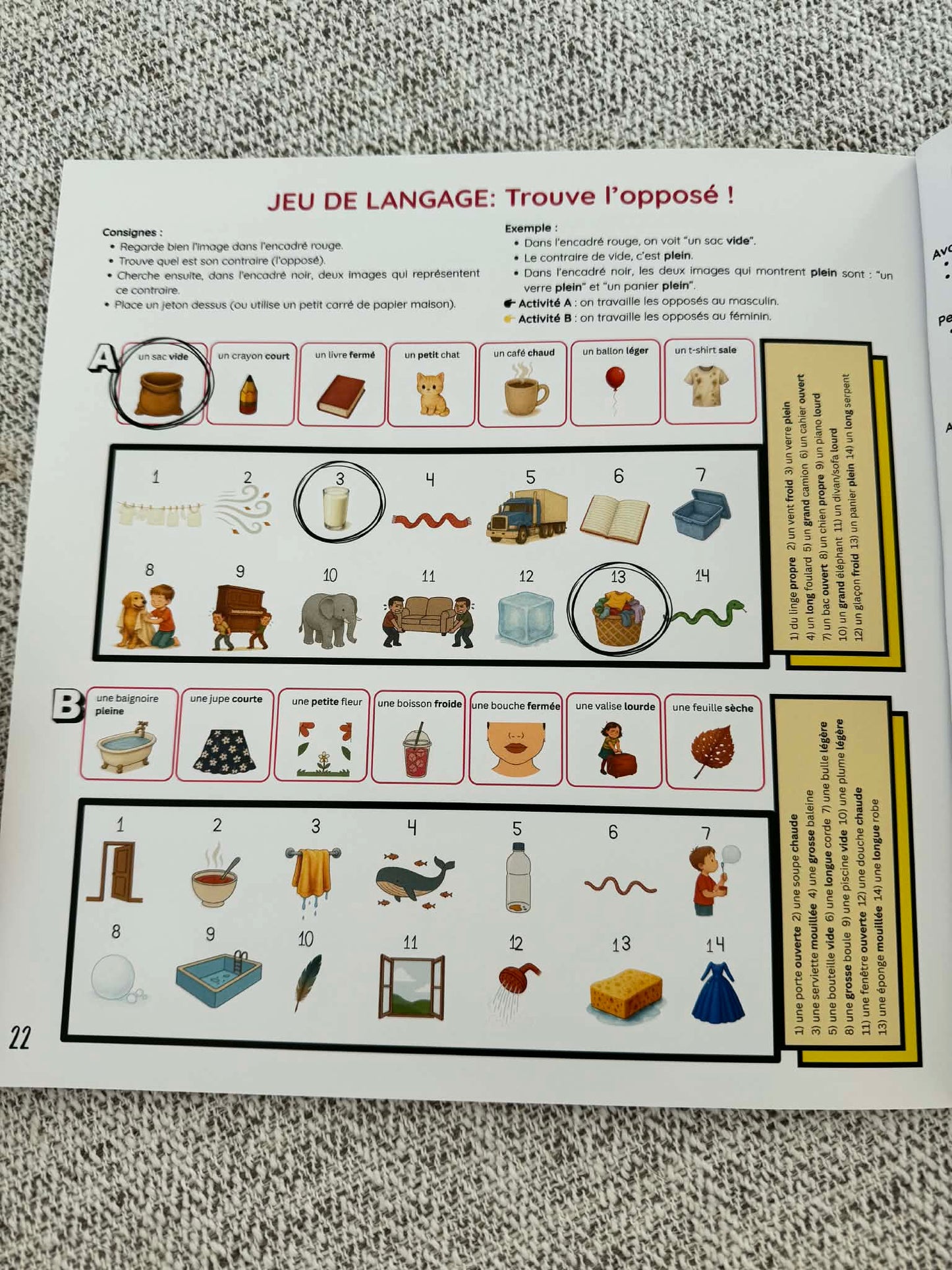 Romy et la chasse au chandail